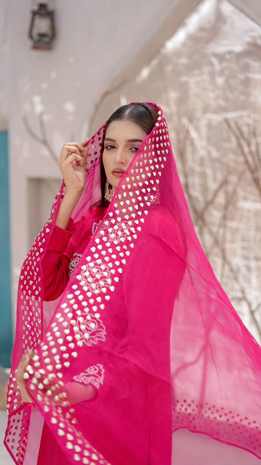Dilruba