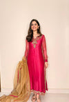 Zara Gul